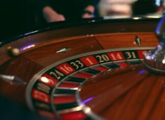 What Makes Daman Game So Addictive for Some Players? Daman Game