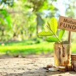 Why Investors Consider Large-Cap Mutual Funds for Core Equity Exposure large-cap mutual fund