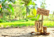 Why Investors Consider Large-Cap Mutual Funds for Core Equity Exposure large-cap mutual fund