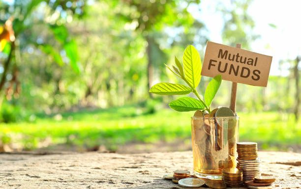 Why Investors Consider Large-Cap Mutual Funds for Core Equity Exposure large-cap mutual fund